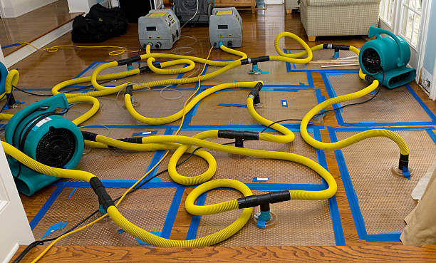 Professional Water Damage Repair technician working in Laurel, MS